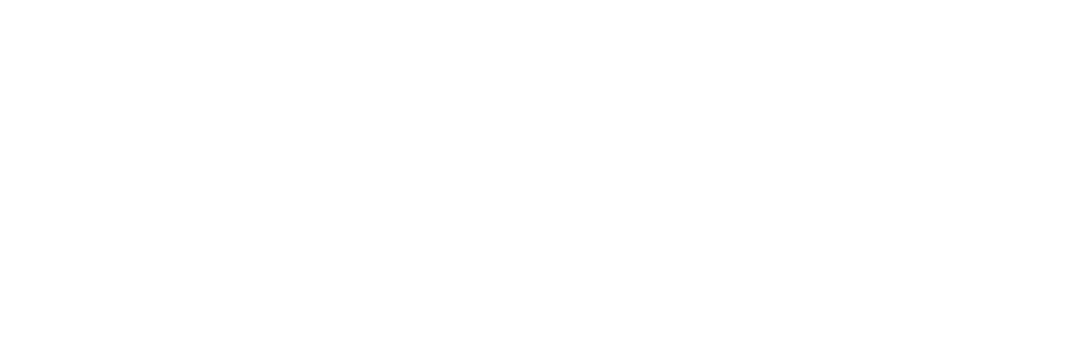 cropped seo audit logo.png
